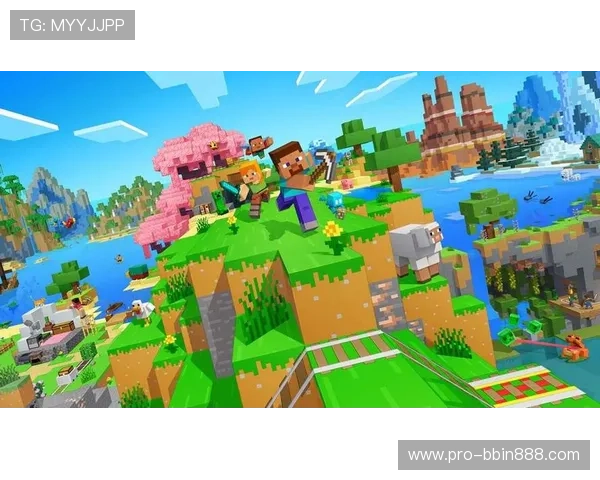 必赢437安全可靠性分析，保障你的资金安全和游戏体验